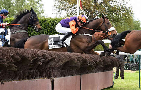 Actualités Hippiques